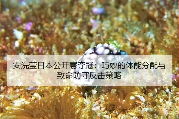 an-xi-ying-ri-ben-gong-kai-sai-duo-guan-qiao-miao-de-ti-neng-fen-pei-yu-zhi-ming-fang-shou-fan-ji-ce-lve-3-323.jpg