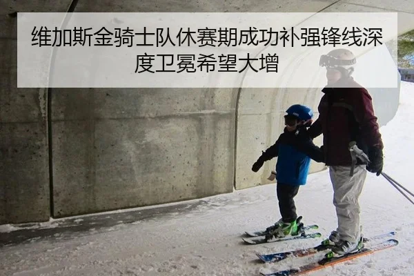 维加斯金骑士队休赛期成功补强锋线深度卫冕希望大增